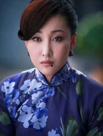 陈zh明星,璀璨星途与公益事业的完美融合