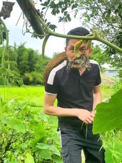 农村吃瓜大妈视频,揭秘乡村生活趣味瞬间