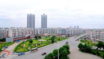 临沭龙水镇新闻头条,龙水镇焕新颜，乡村振兴战略成效显著