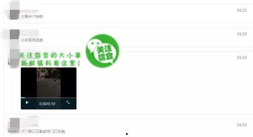 网络爆料视频大全在线,揭秘热点事件背后的真相