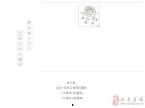 西充论坛头条,聚焦本地热点，揭秘西充发展新动态