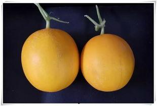 平阴吃瓜,揭秘当地特色美食背后的故事