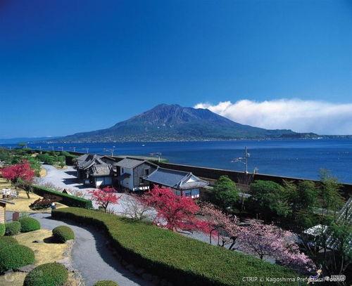 日本风景微头条,微头条带你领略四季风光