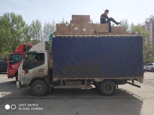 张义 明星,闪耀星途，砥砺前行