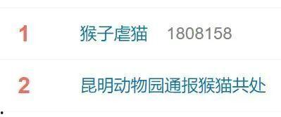 昆明动物园新闻头条最新,珍稀动物亮相引游客围观