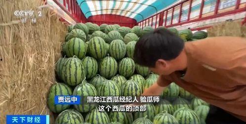 吃瓜博亚,网络红人的崛起与影响力