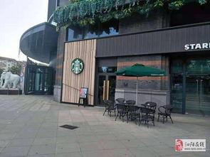 濠城网红,网络时代下的城市新名片