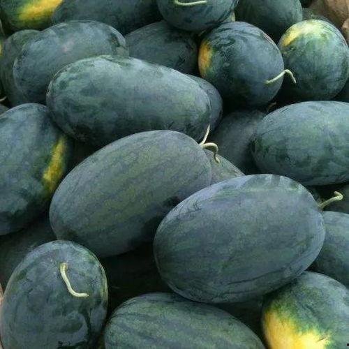 武汉江海吃瓜视频,武汉街头美食探秘