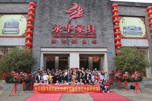 保定永华新闻头条,聚焦最新动态，共探发展新篇章