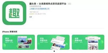 趣头条 风险,如何规避潜在风险，守护网络安全