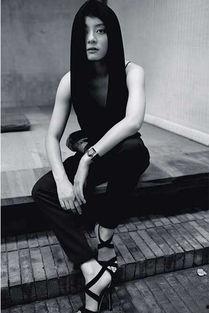 限一线明星,璀璨星光下的璀璨人生