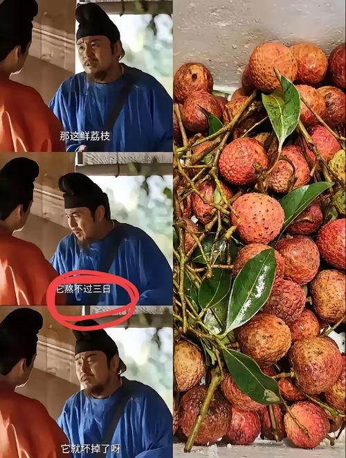 吃瓜唐十八陈花花,陈花花的传奇人生